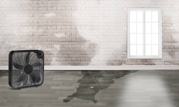 Best Commercial water damage restoration  in Chattanooga, TN